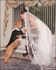 Bride_Dog_Kiss.jpg