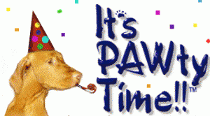 Pawty Time.gif