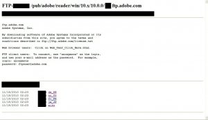 Adobe FTP - 2010-11-20.jpg