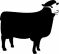 blacksheepe-1-54x60.JPG