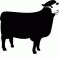 blacksheepe2.gif