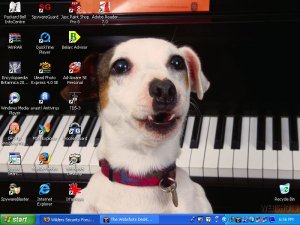 barkthoven.jpg