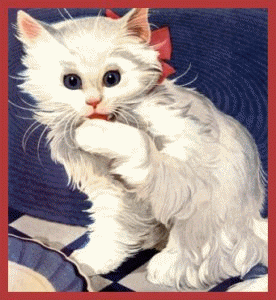 catwink.gif