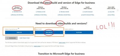 Edge.jpg