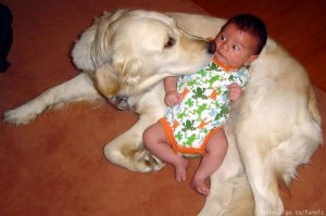 dog9.jpg