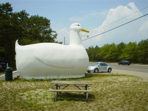 bigduck2-small.jpg