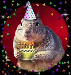 birthday_blackspear.jpg