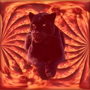 firecat5.jpg