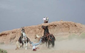 horse22.jpg