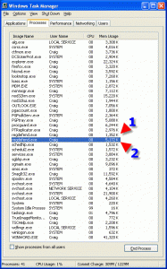 RegDefend 2 Processes.gif