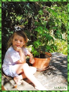 SOPHIES_GARDEN.JPG