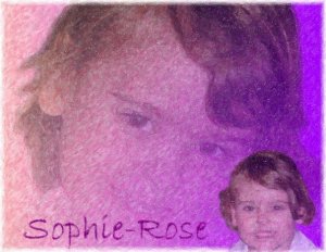 sophie-rose wallpaper.jpg