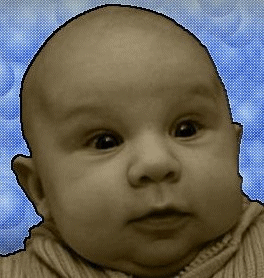 Animation15.gif