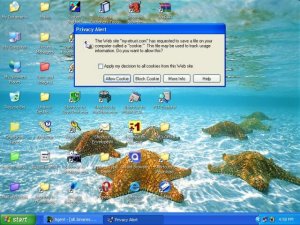 computer_associates_cookie_sml.jpg