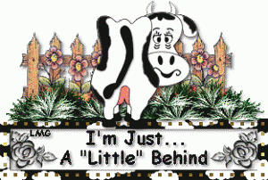 BEHIND~1.gif