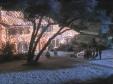 house lights.jpg