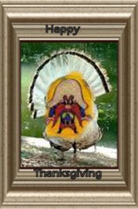 jive turkey.jpg