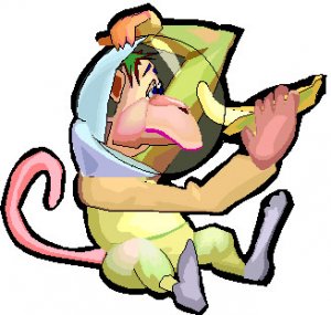monkey.jpg