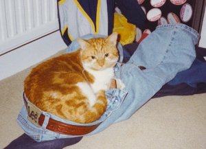 fredcatphoto_410.jpg