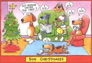 dogs_christmas.jpg