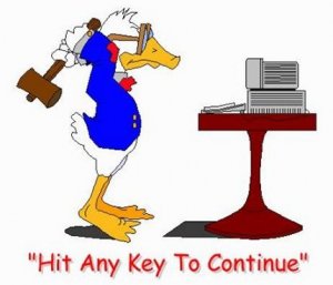 duck.jpg