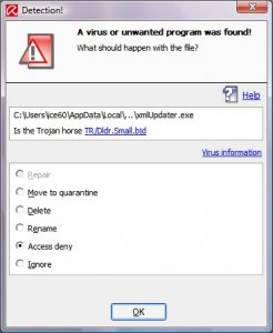 detection.jpg