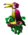 tropical_bird_md_wht.gif
