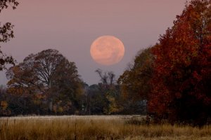 moon-rising-autumn-1160.jpg