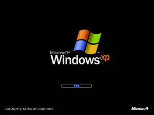 Windows XP Professional-2008-12-01-23-11-42.png