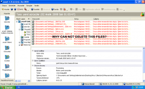 Windows XP Professional-2008-12-02-01-05-04.png