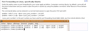 Port_Forwarding_Vuze-2009-04-06_002234.png