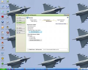 IE shield.JPG
