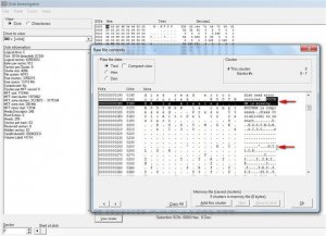 Disk Investigator-2--2010-01-14_025230 (Small).jpg