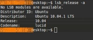 Ubuntu 10.04.1.jpg