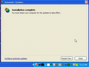 ScreenShot_WUpdates_install54_SVT_45a.gif