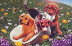 pupsnbath.jpg