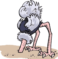 Ostrich in sand.gif