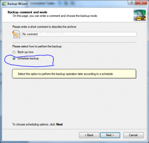 Schedule backup radio button.PNG