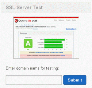 ssl test.gif