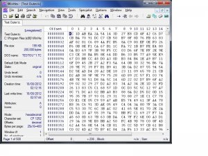 winhex test file.jpg