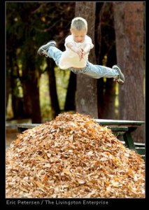 FallGuy.jpg