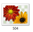 504.PNG