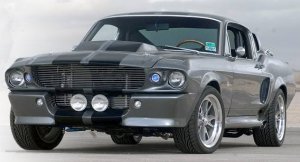 shelby.jpg