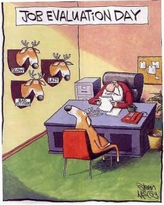 deer job.jpg