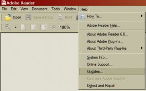 adobe.jpg